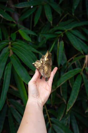 Golden Aura Cluster